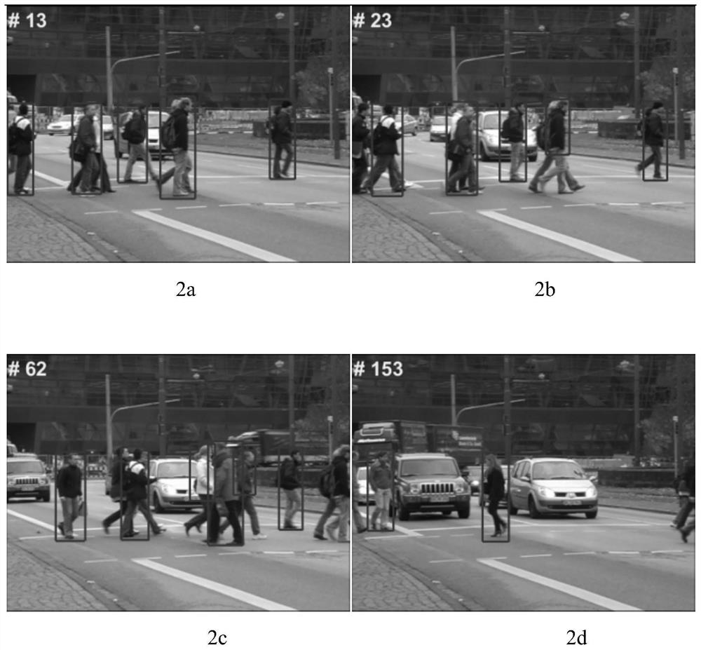 A Multi-Pedestrian Tracking Method Based on Iterative Filtering and Observation Discrimination