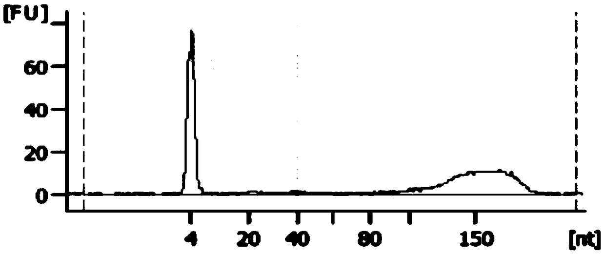 Kit and method for extracting circulating DNA in plasma