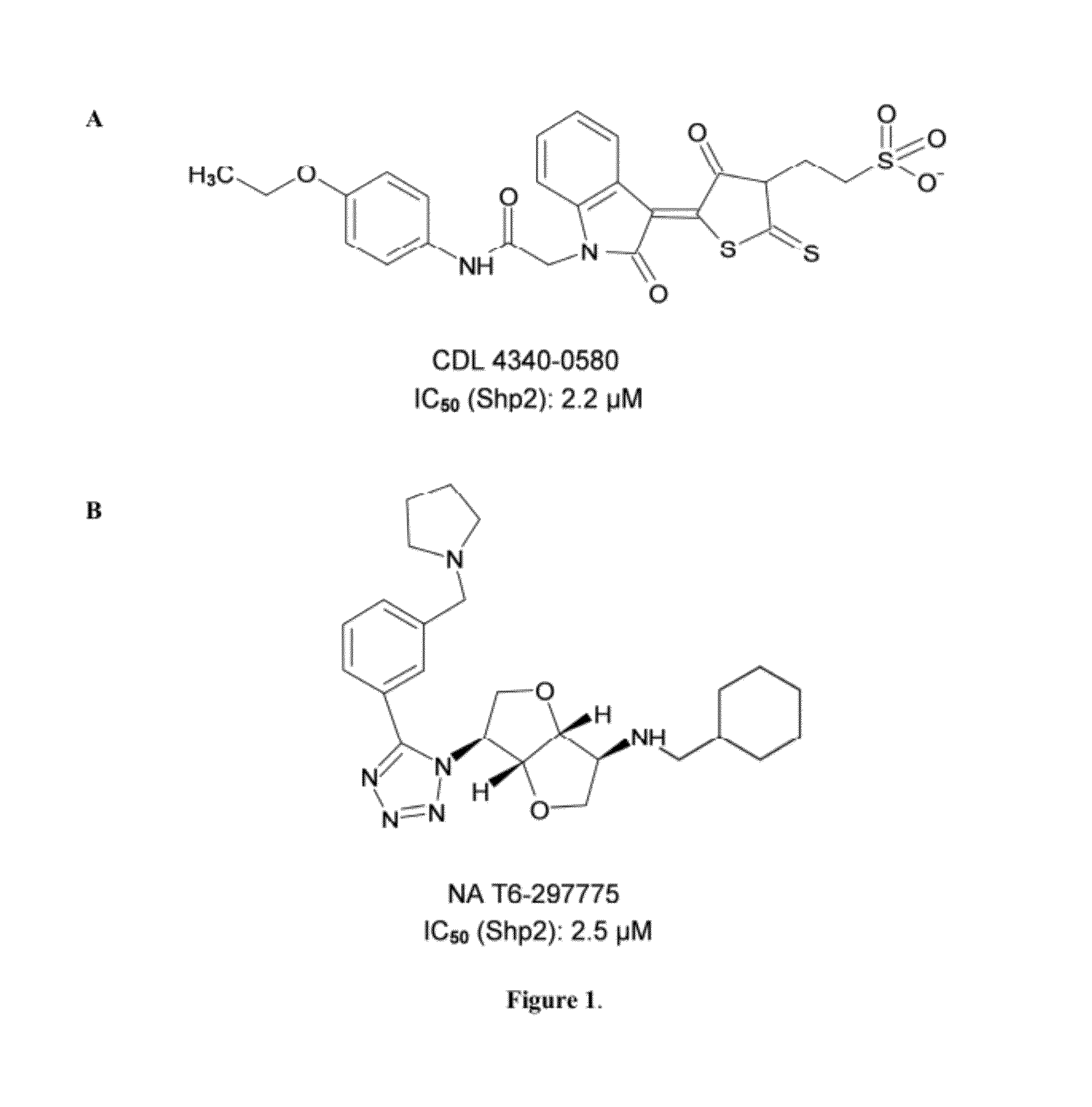 Indoline scaffold shp-2 inhibitors and method of treating cancer