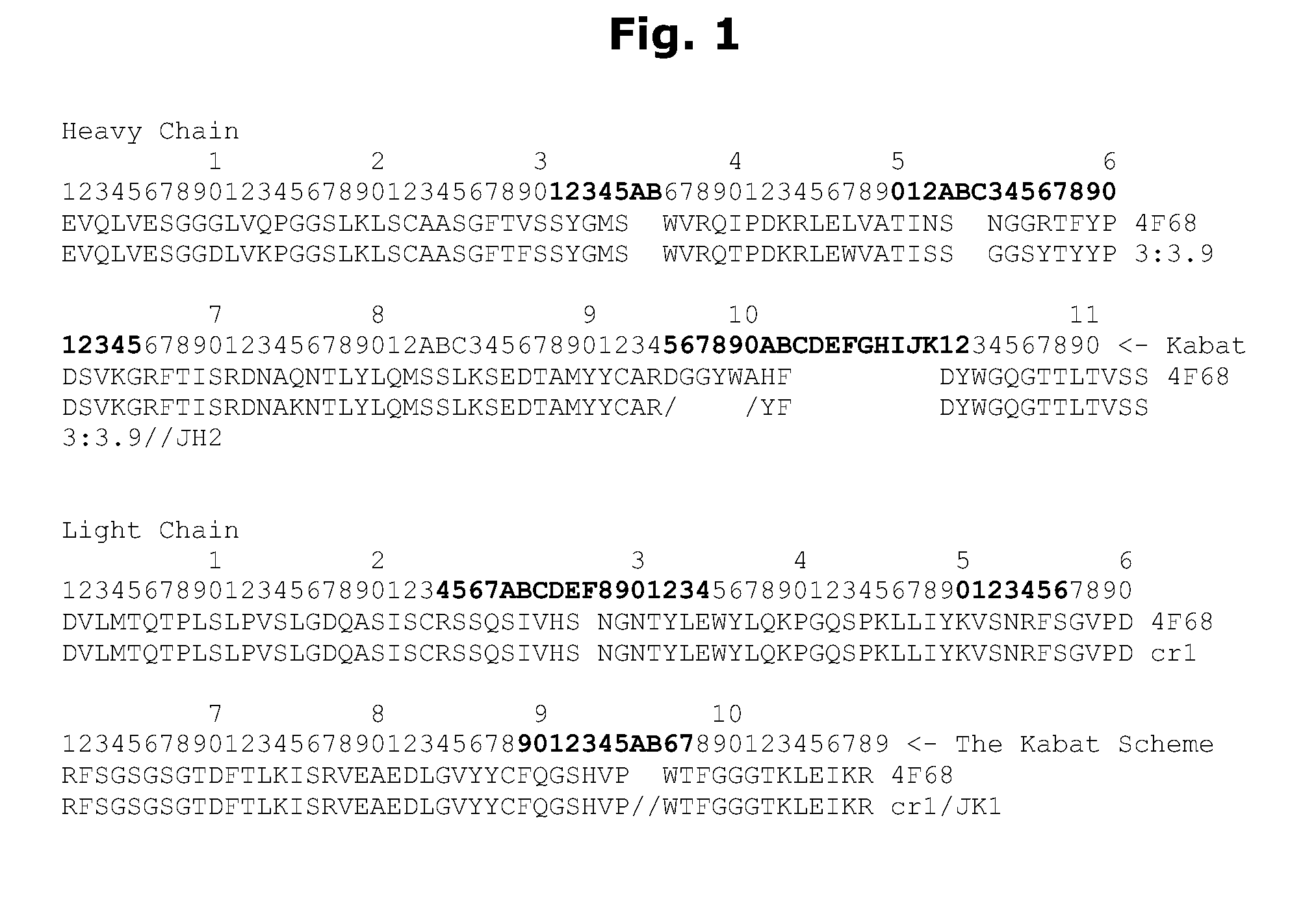 LLT-1 antibodies with new functional properties