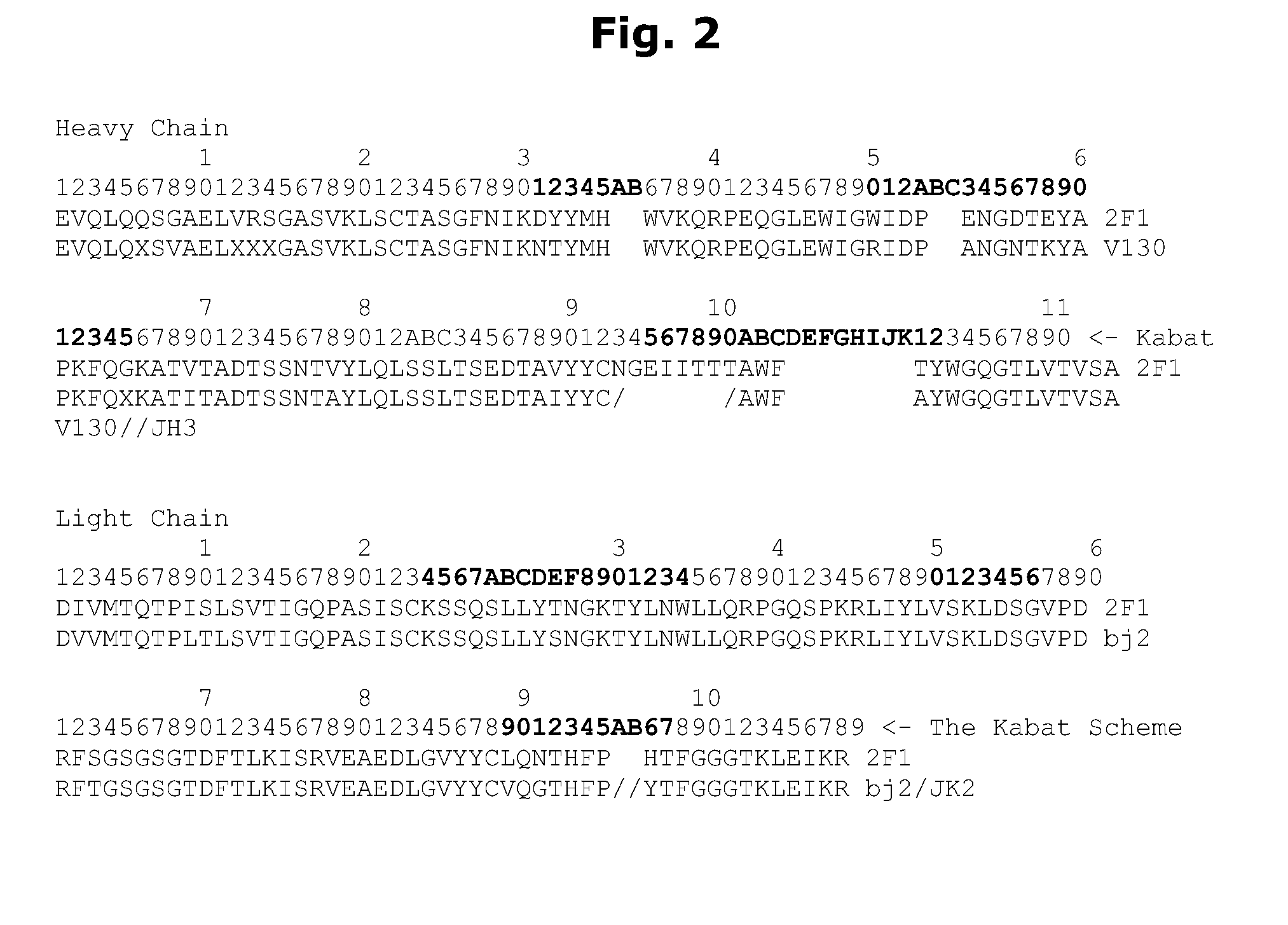 LLT-1 antibodies with new functional properties