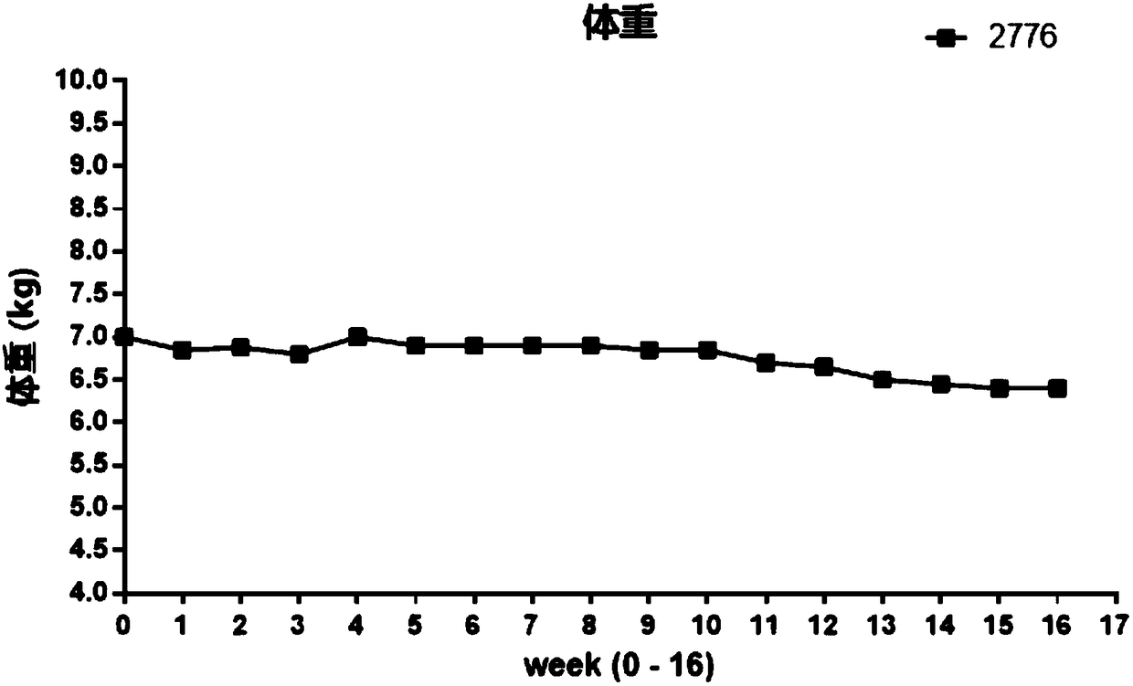 Construction method of bone defect model manufactured by adopting osteotomy on bilateral fibula of macaca fascicularis