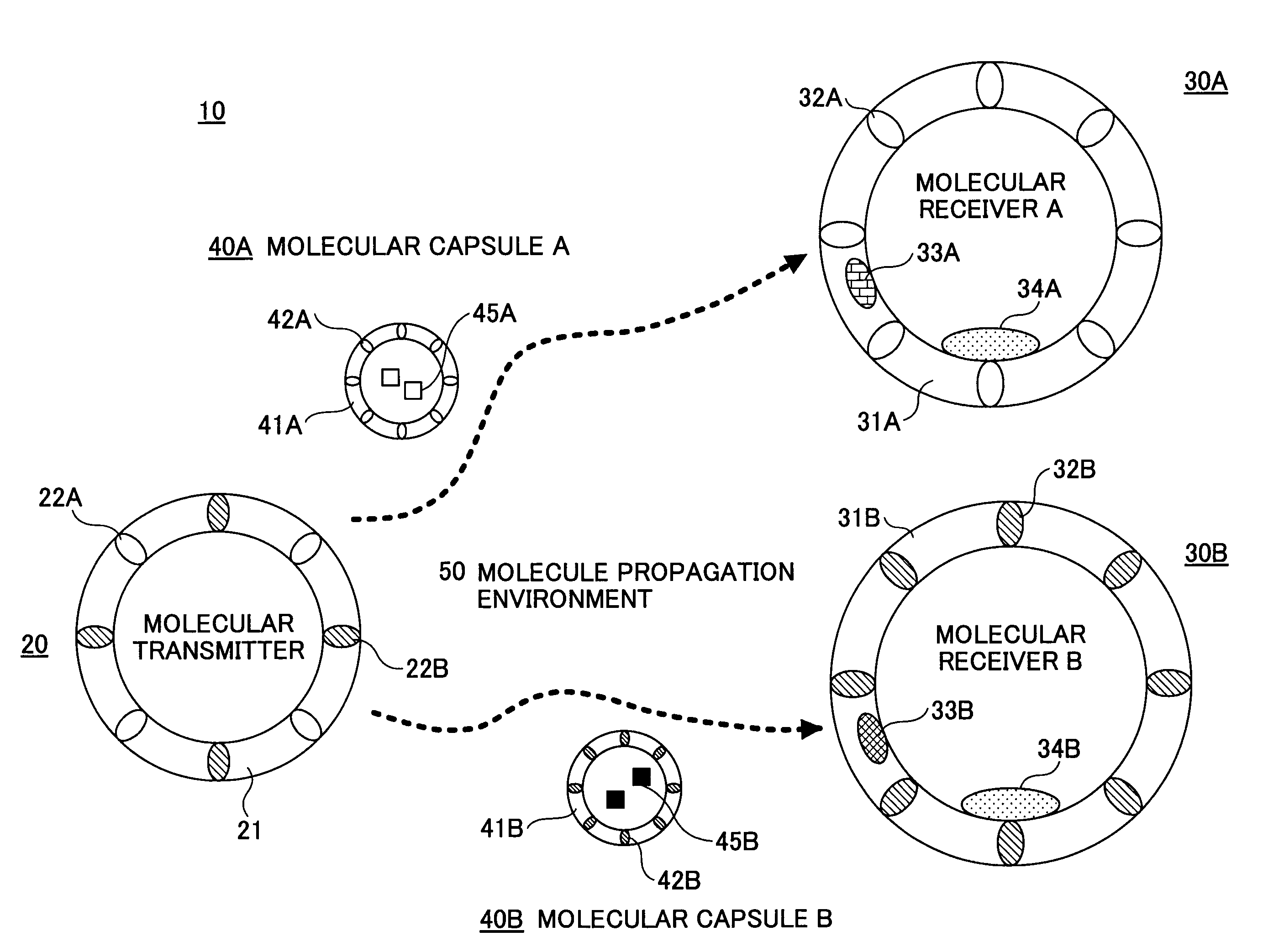 System and method for molecular communication