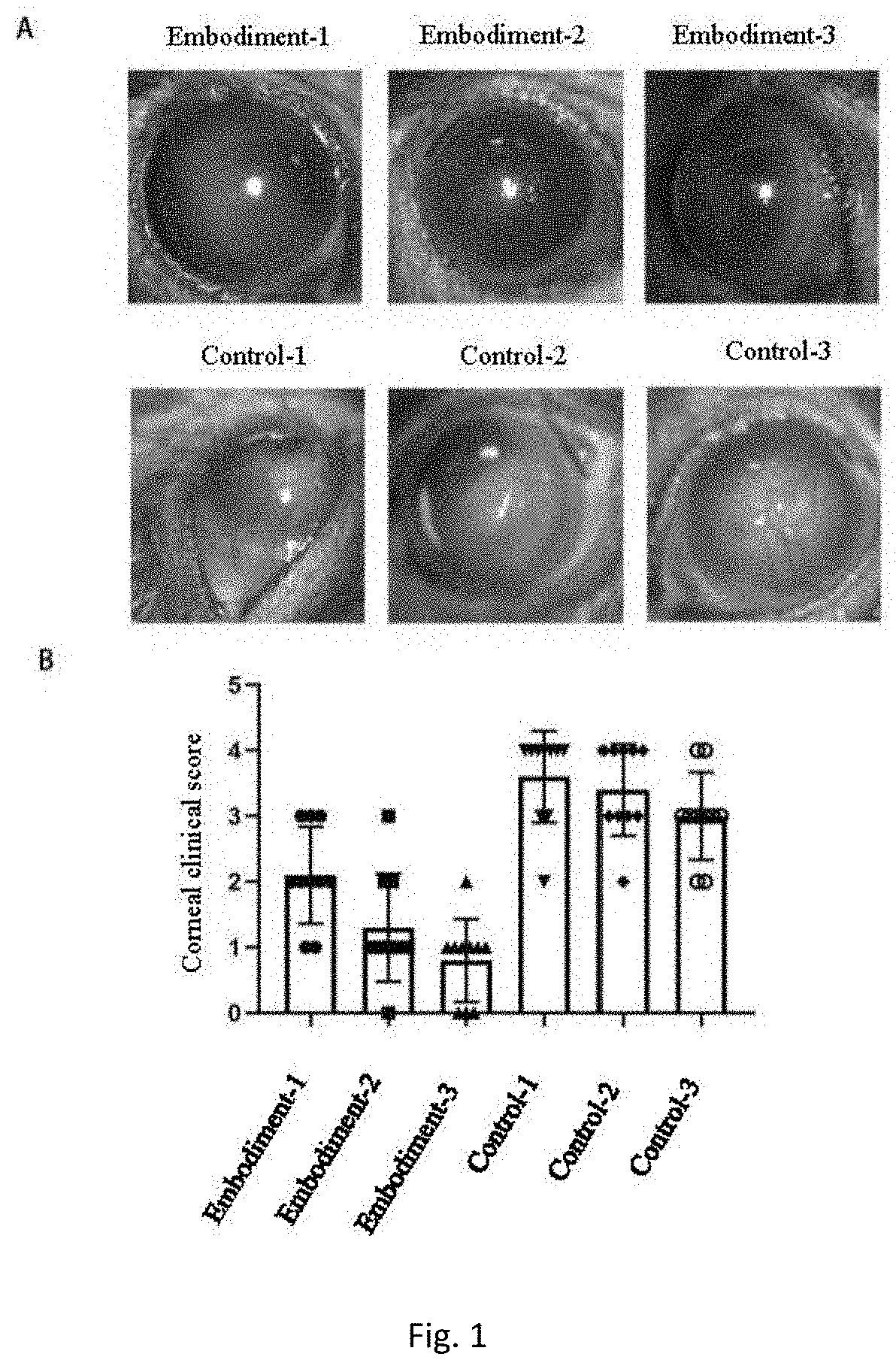 Eyedrop applicable to limbal stem cell deficiency and preparation