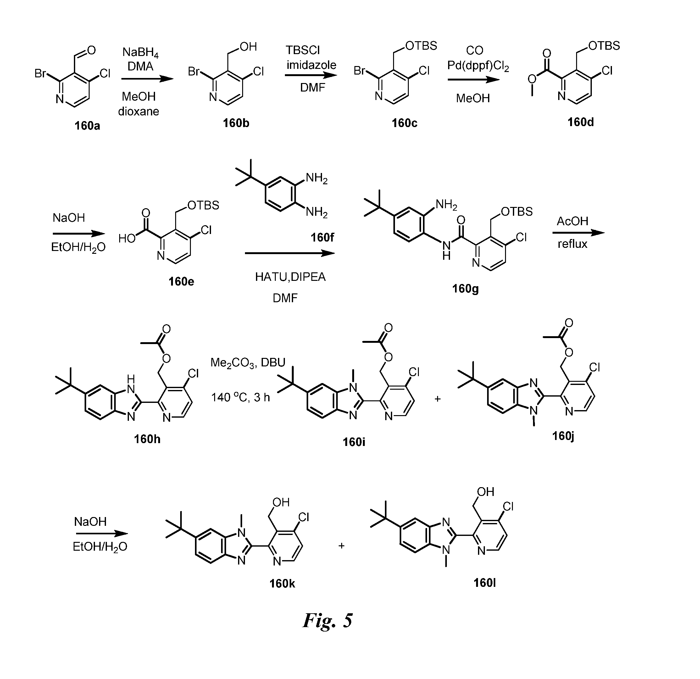 Heteroaryl pyridone and aza-pyridone amide compounds