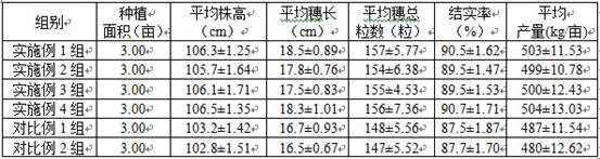 A special insect-derived organic fertilizer for sea rice