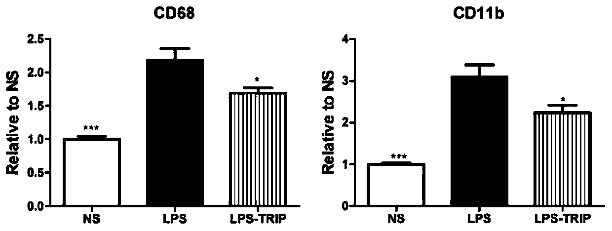 New Application of Triptorelin