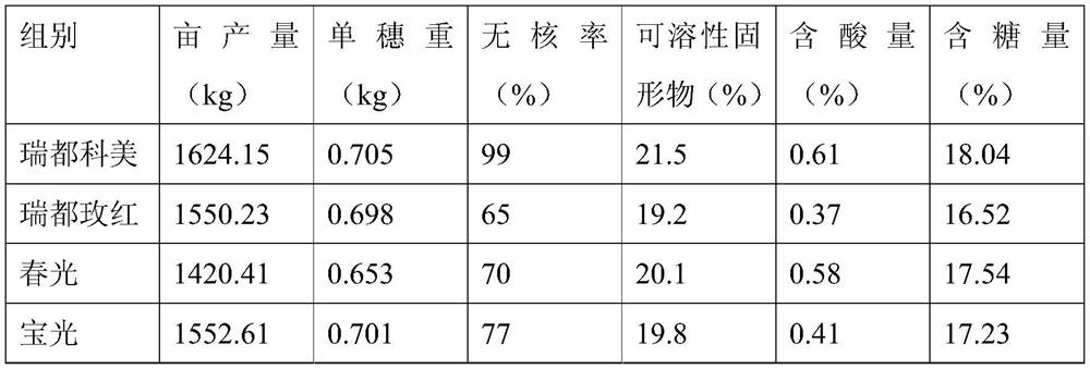 Seedless fruit swelling method for new grape variety Richodaceae-Meimei second-crop fruits