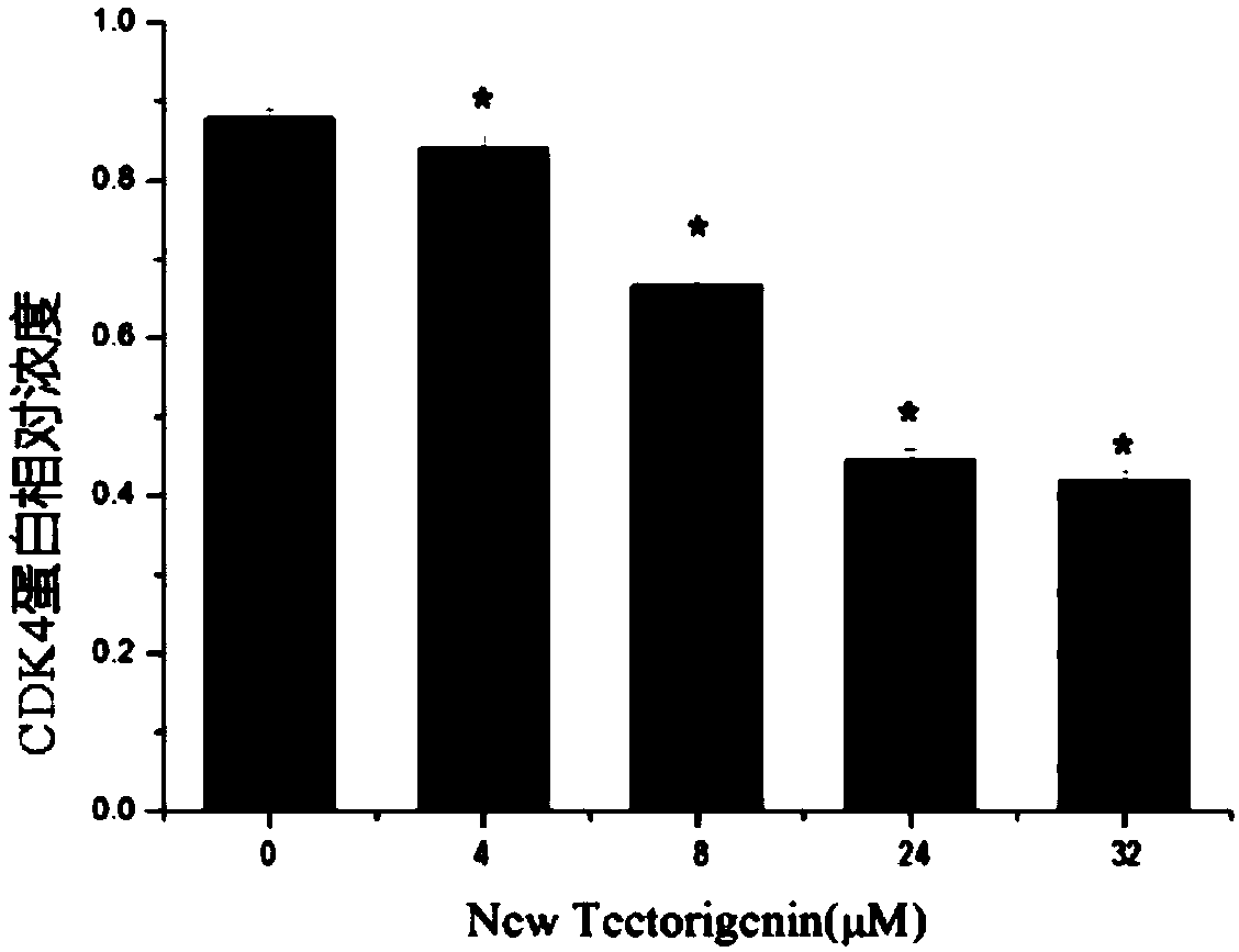 CDK inhibitor and application thereof