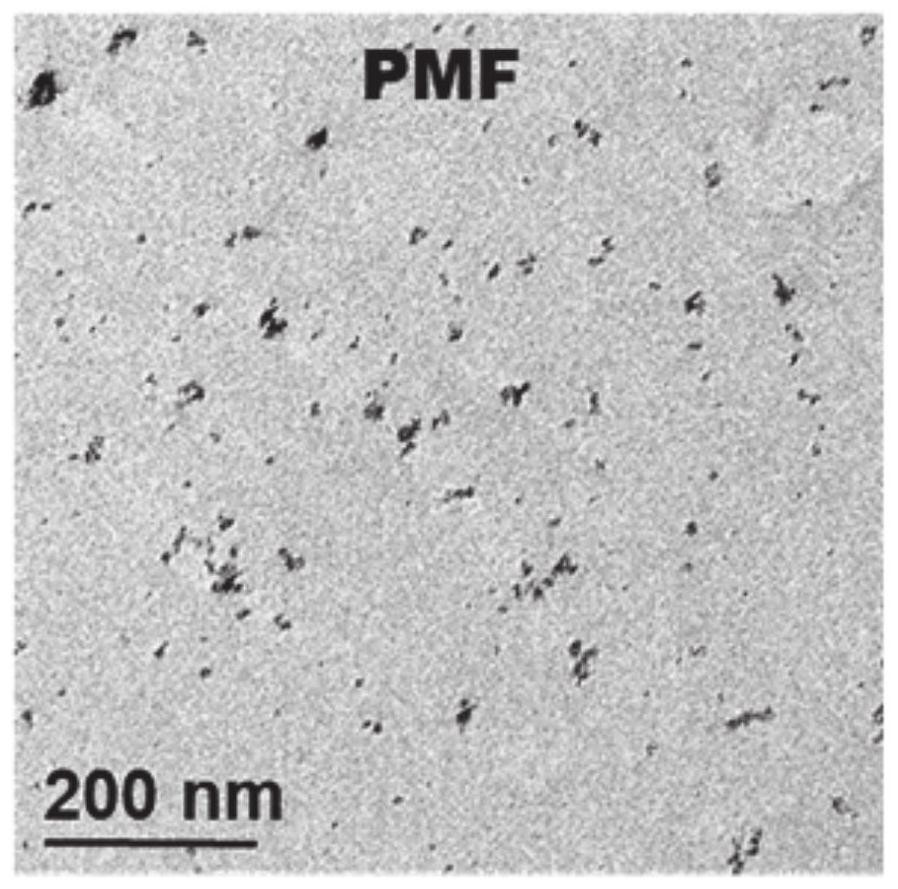 A kind of biomimetic nano preparation based on platelet membrane fragments and its preparation method and application