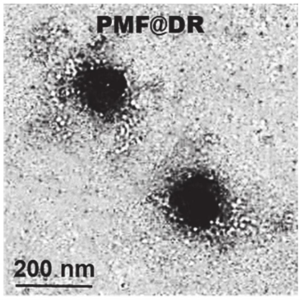 A kind of biomimetic nano preparation based on platelet membrane fragments and its preparation method and application