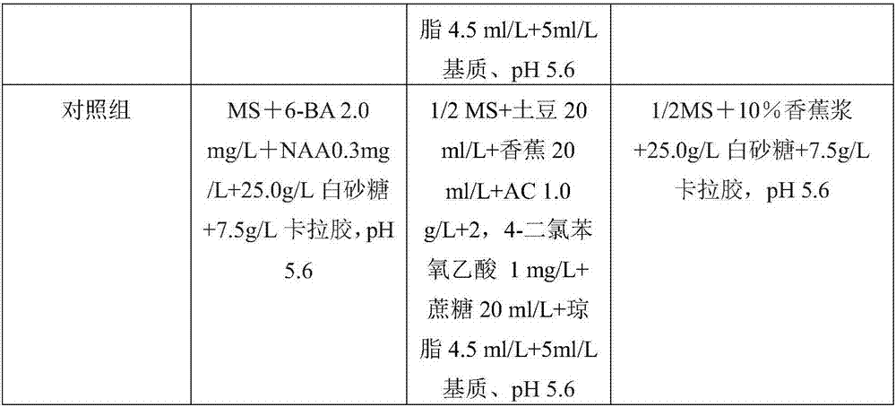 Substrate applicable to tissue culture of oncidium and preparation method thereof