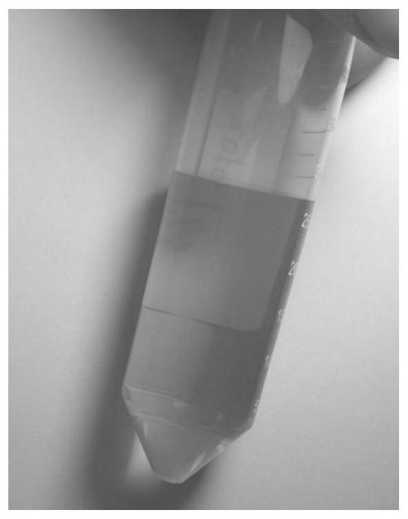 Organic matter Raman detection method based on surface enhanced Raman spectroscopy