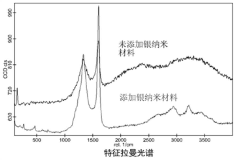 Organic matter Raman detection method based on surface enhanced Raman spectroscopy