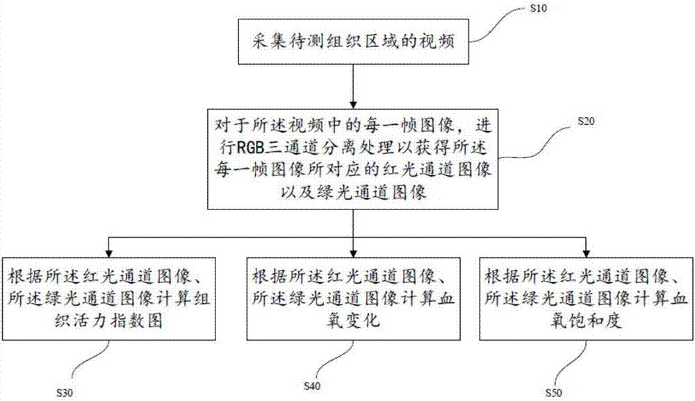 Tissue viability, blood oxygen change and blood oxygen saturation detection method and intelligent terminal