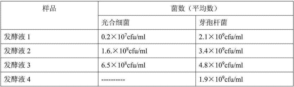 Chinese herbal medicine microecological preparation for Penaeus vannamei against transport stress and its preparation method and application