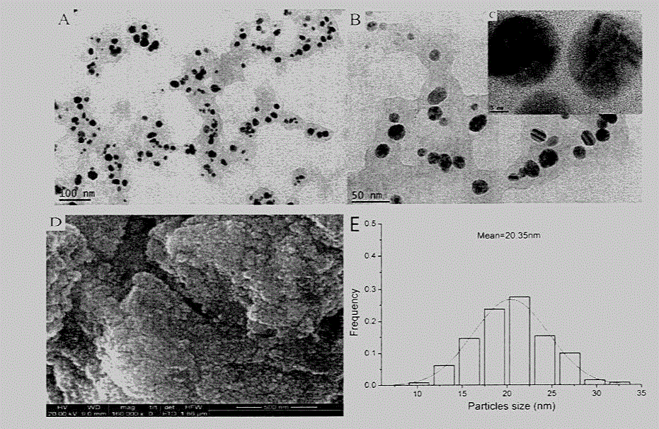 Silver nanoparticle composition for control of lung cancer and prostate cancer