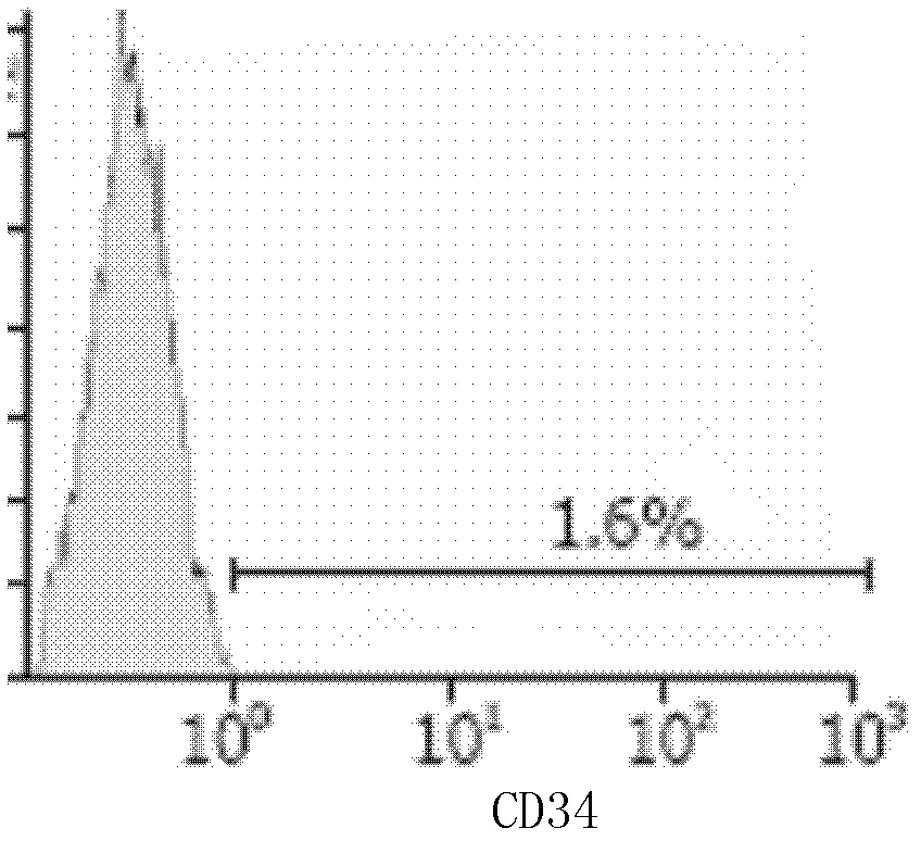 Kit for mesenchymal stem cell culture and application thereof