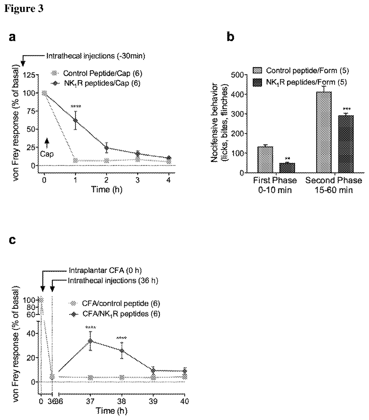Inhibitors of beta-arrestin-neurokinin 1 receptor interactions for the treatment of pain