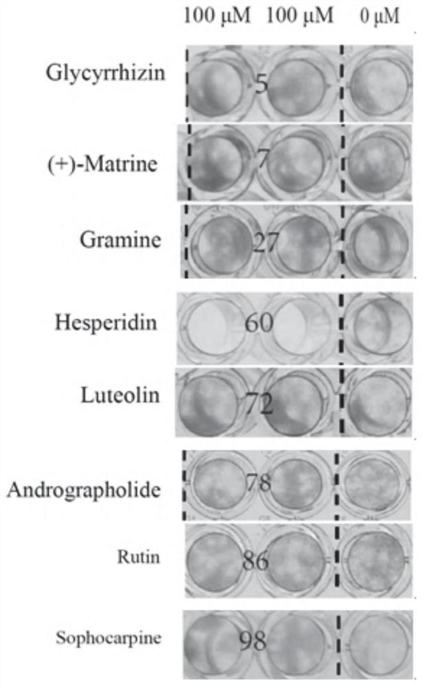 Application of a class of compounds in the preparation of anti-picorna virus drugs