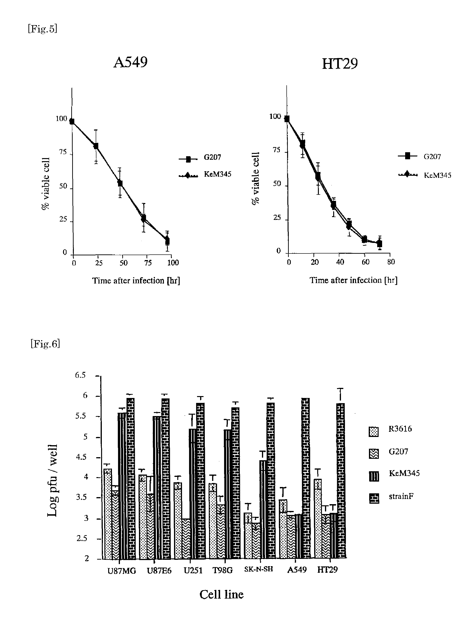 HSV with a Musashi promoter regulating γ34.5 and ribonucleotide reductase expression