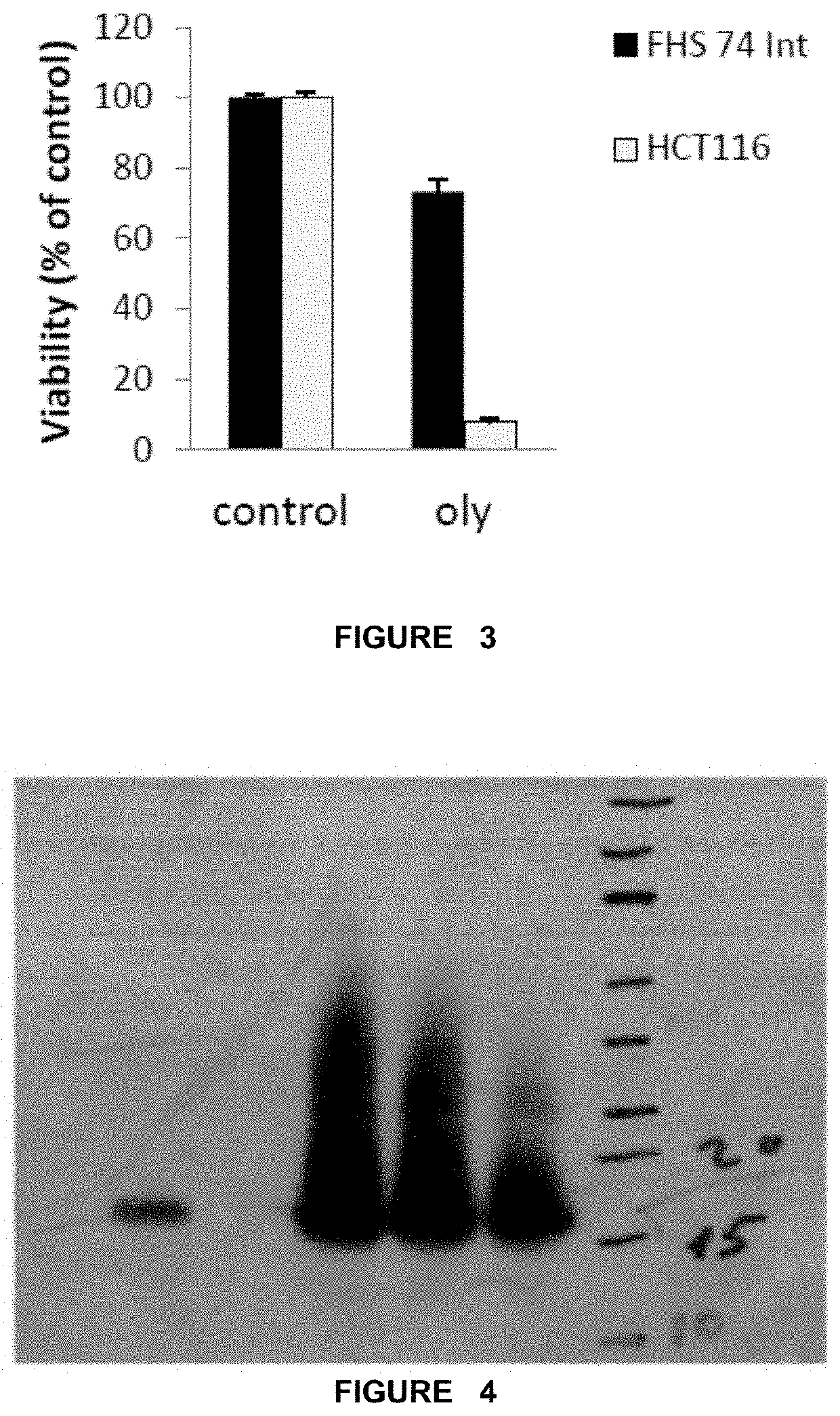Method of treating overweight or obesity comprising administering a pleurotus ostreatus mushroom extract or a composition comprising a pleurotus ostretus mushroom extract