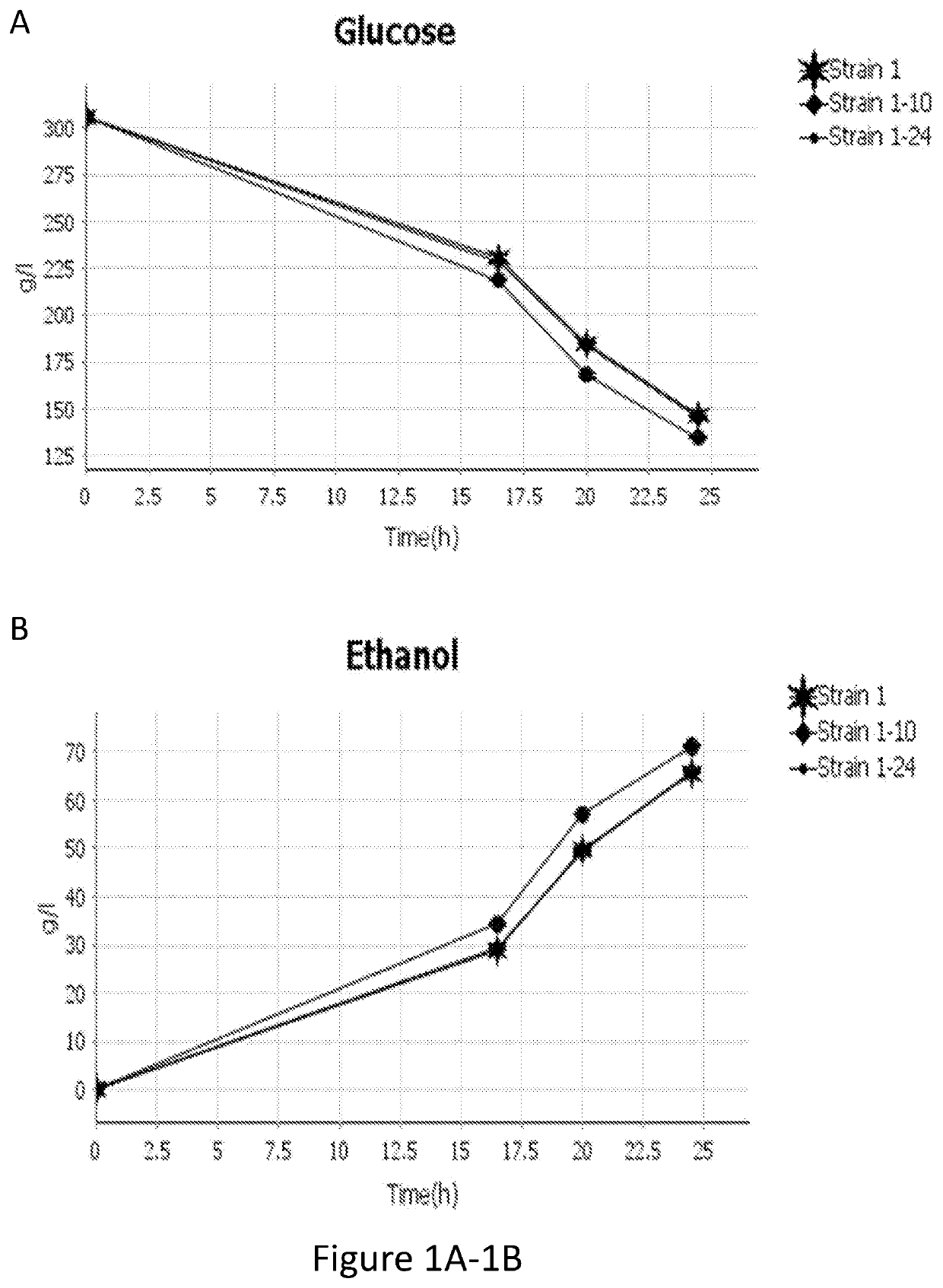 Genetically modified lactate-consuming yeasts and fermentation processes using such genetically modified yeasts