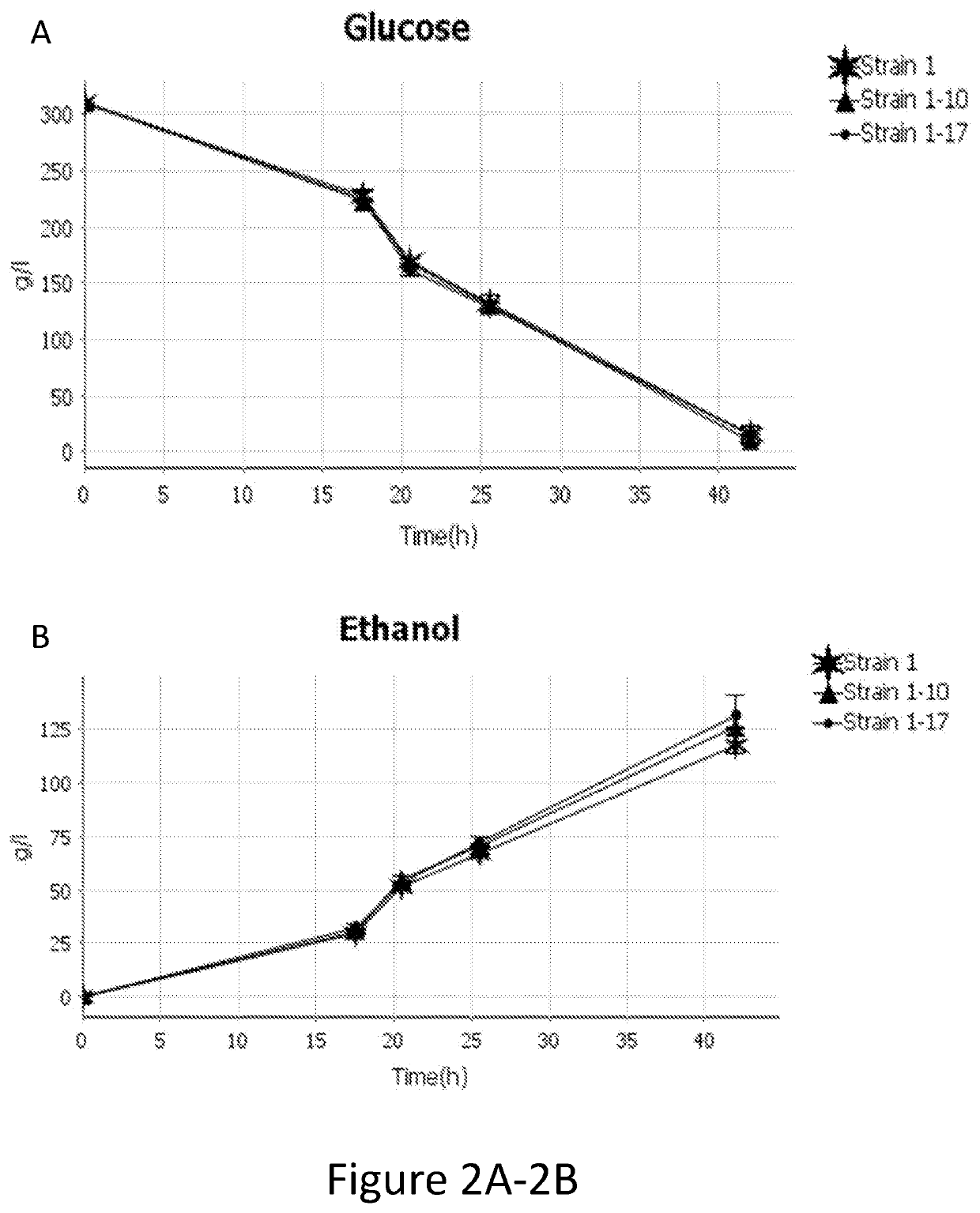 Genetically modified lactate-consuming yeasts and fermentation processes using such genetically modified yeasts