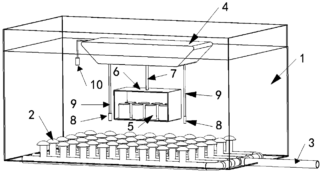 Aeration system maintenance device and method with two-dimensional dissolved oxygen detection and online cleaning functions