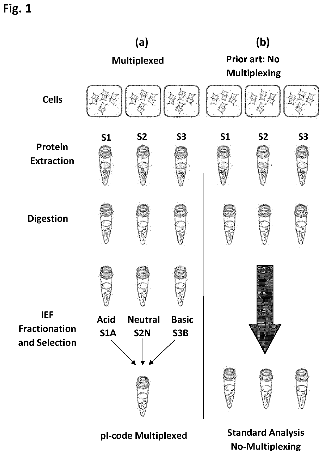 Apparatus and method for multiplexed protein quantification