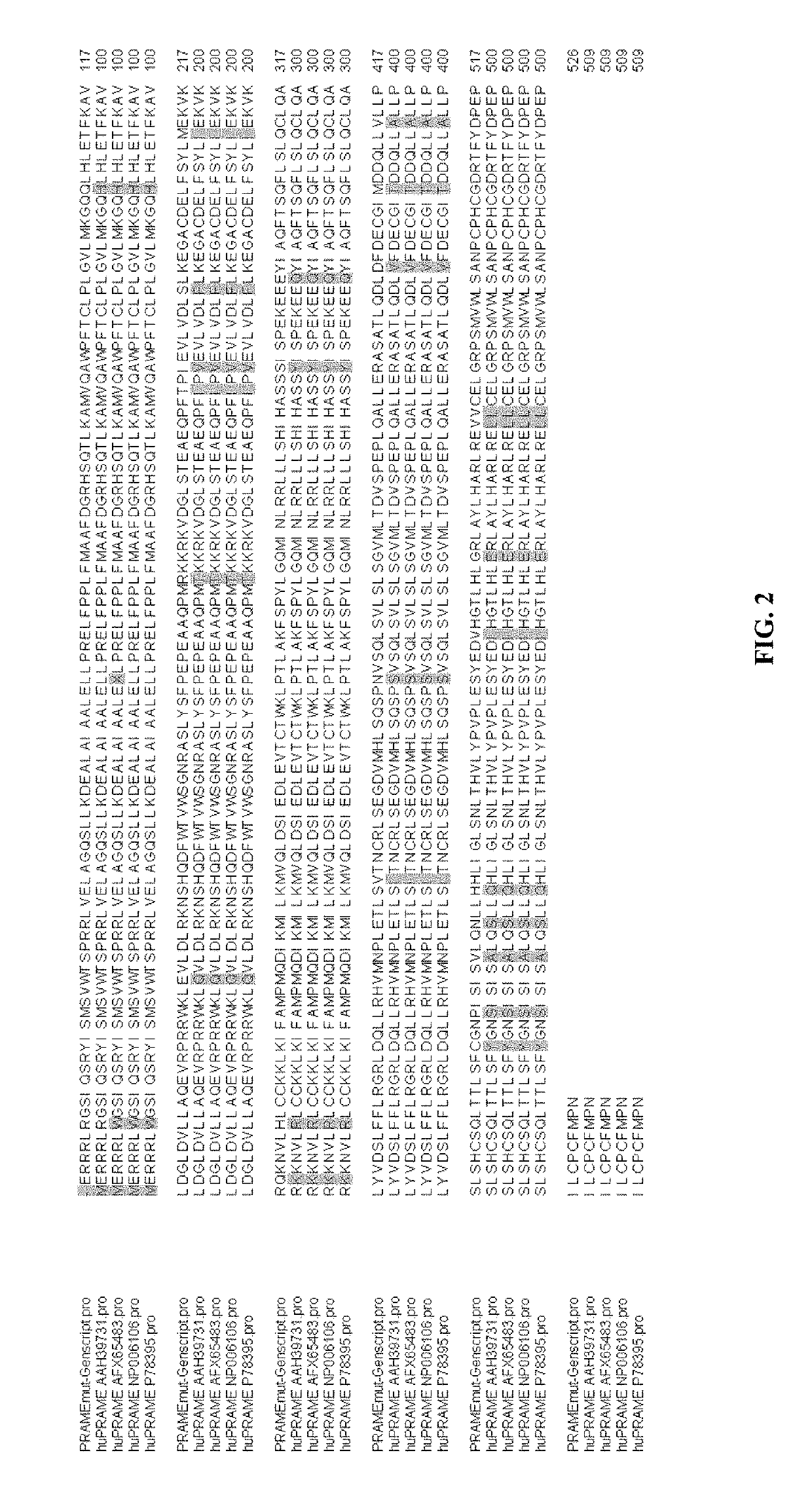 Cancer vaccines targeting prame and uses thereof