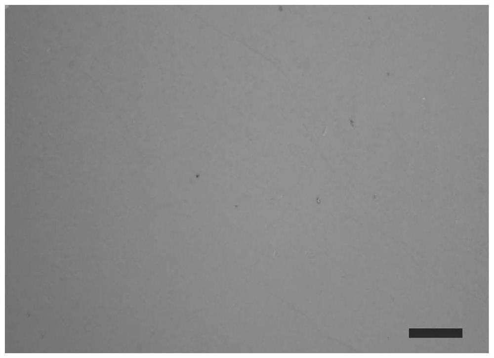 Method for regulating and controlling number of molybdenum disulfide layers in graphene/molybdenum disulfide heterojunction