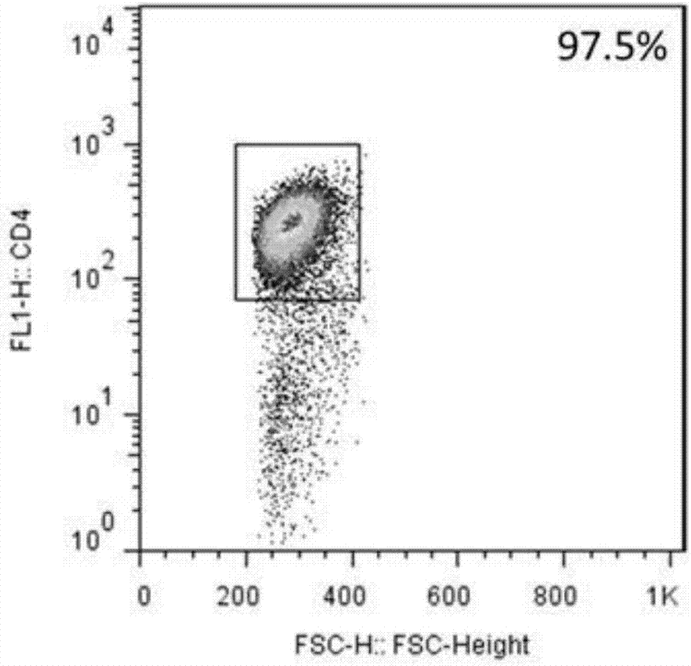 CD4+T cell derived exosomes and application thereof