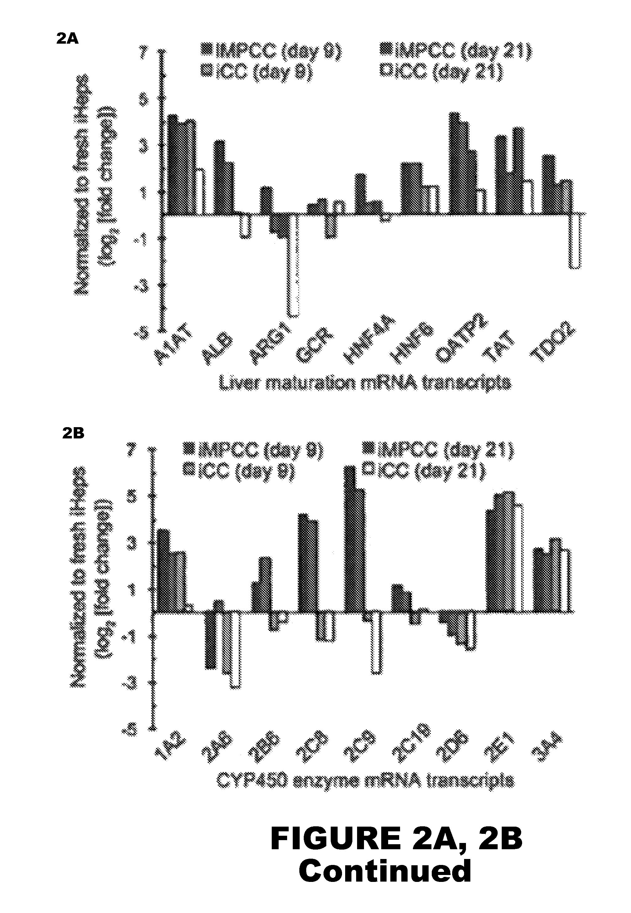 Stem cell-derived hepatocytes in co-culture and uses thereof