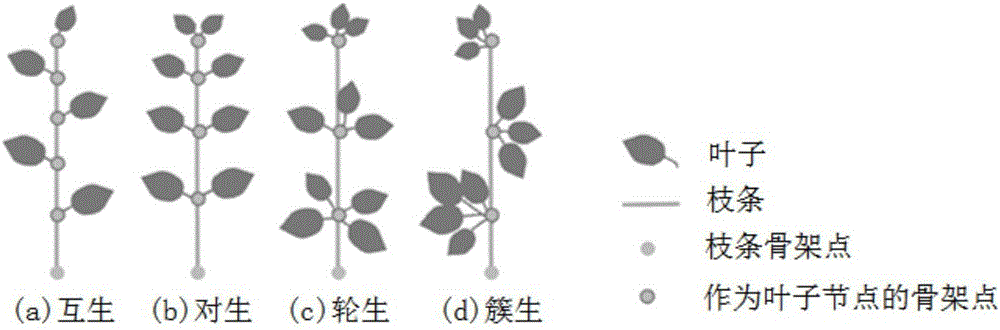 Method for constructing parameterized three-dimensional tree symbol model