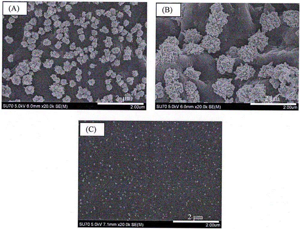 Preparation method of silicon wafer/poly-2-vinylpyridine brush/polypyrrole-gold nanoparticle composite material