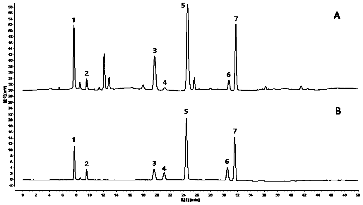 HPLC method for measuring seven organic acids in jackinthepulpit tuber simultaneously