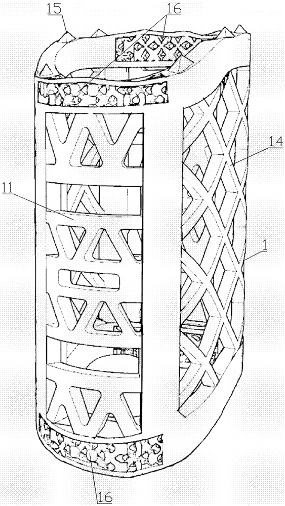 Customized 3D printing spinal column reconstruction apparatus and preparation method thereof
