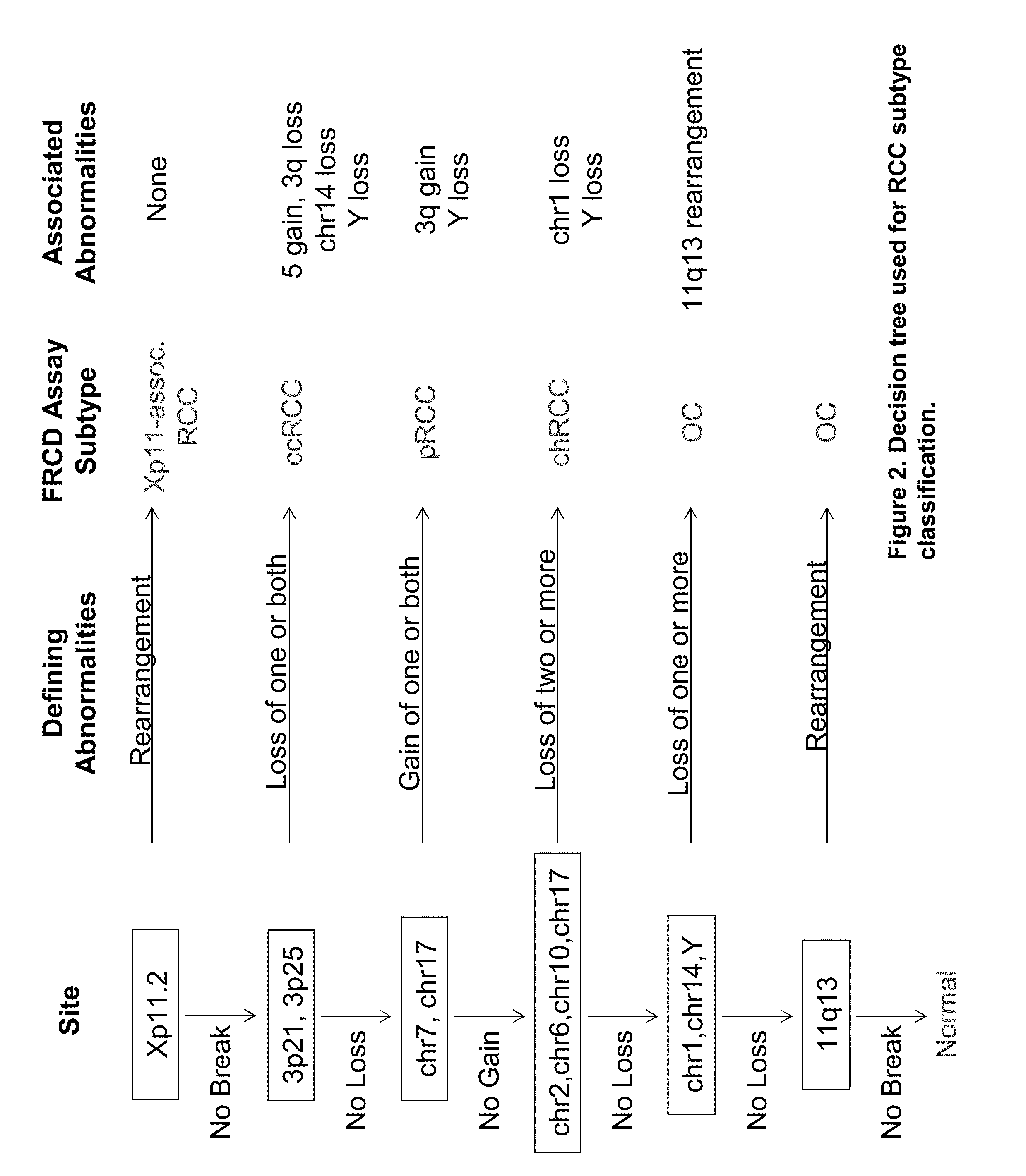 Panel for the detection and differentiation of renal cortical neoplasms