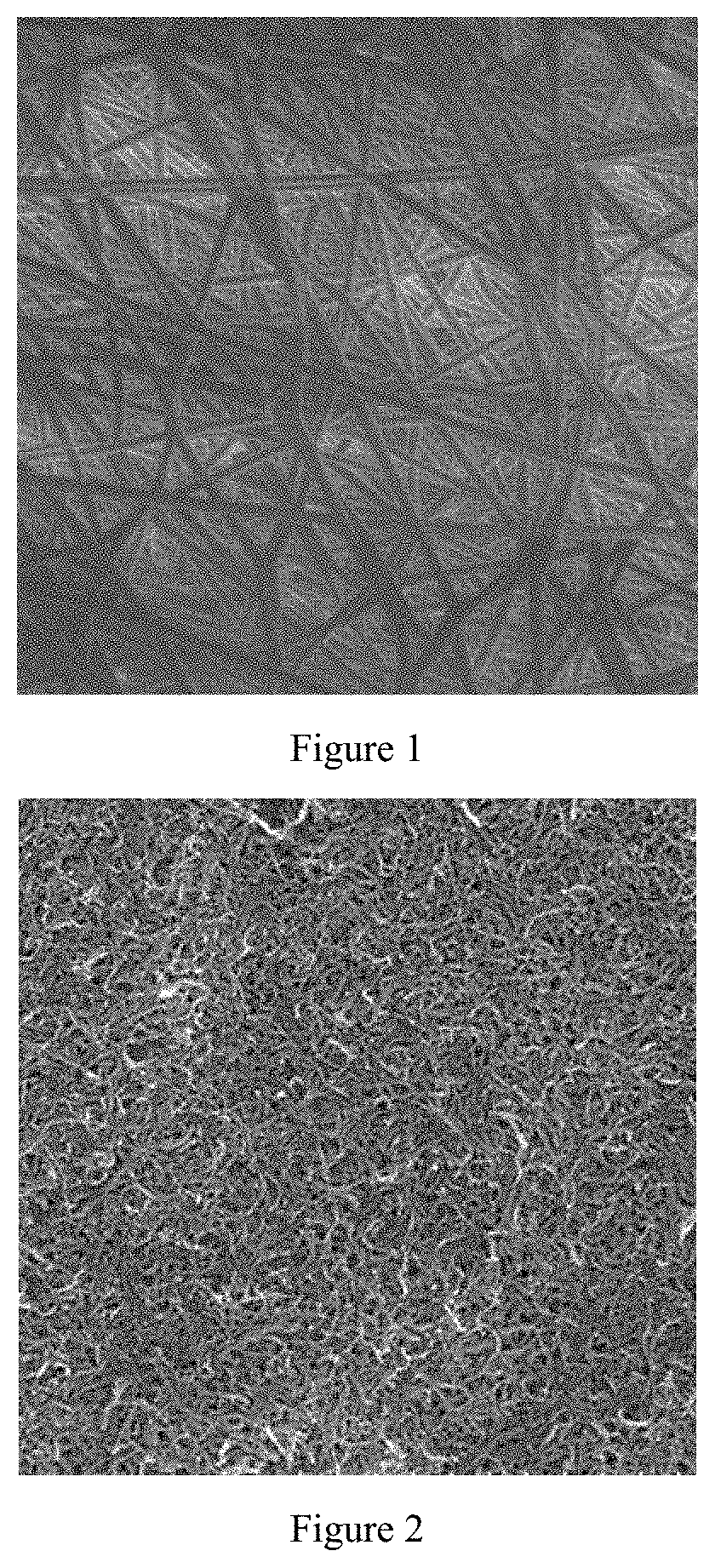 Carbon nanotube/nanofiber conductive composite membrane and preparation method thereof