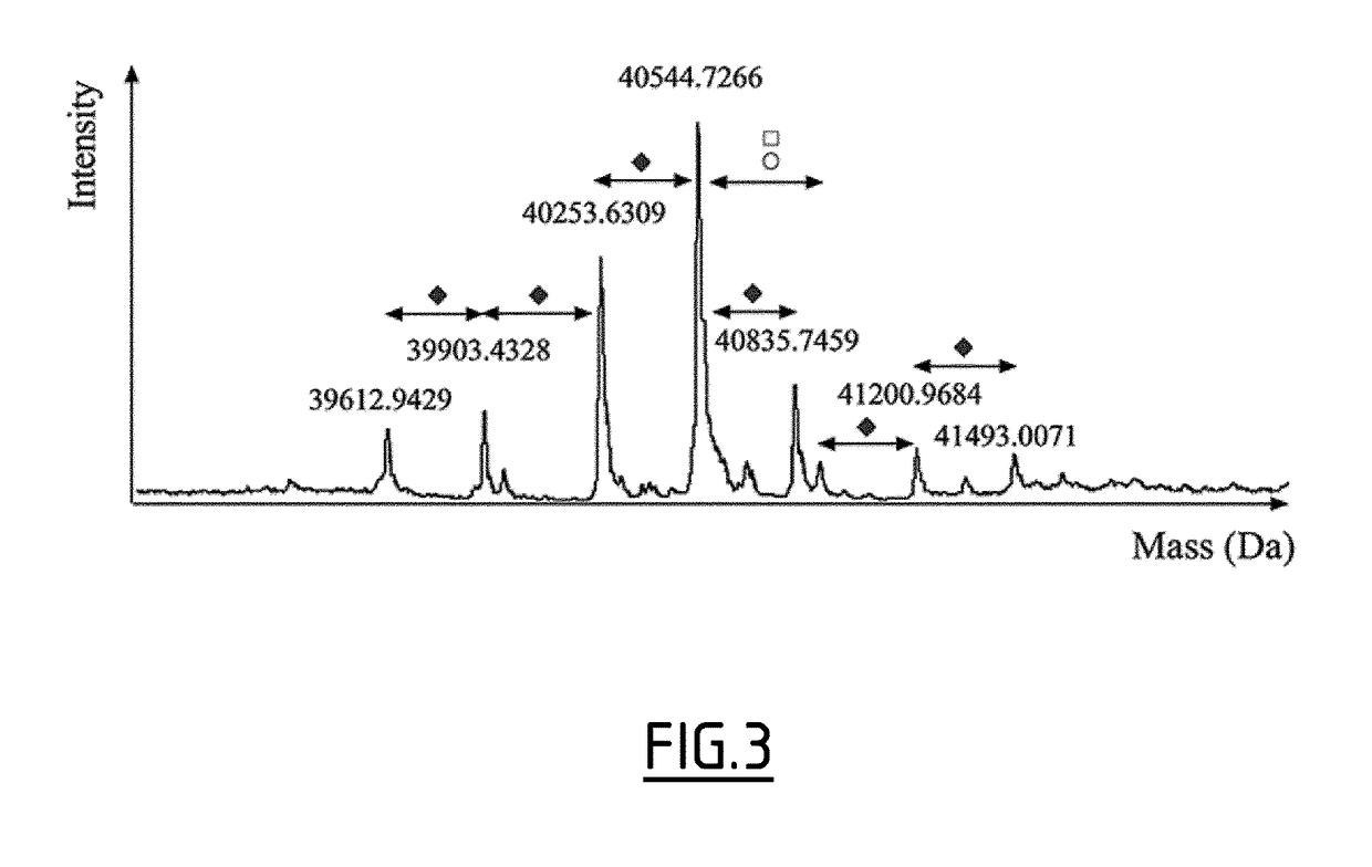 Sialylated fetuin-a as a marker of immunotherapy efficacy