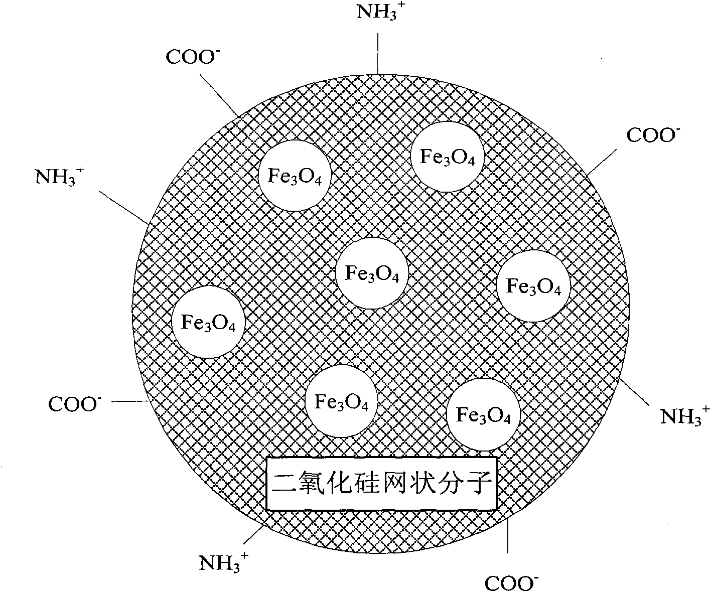 Ferroferric oxide magnetic nanoparticles and preparation method thereof