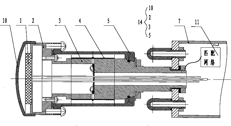 Three-in-one buoy antenna