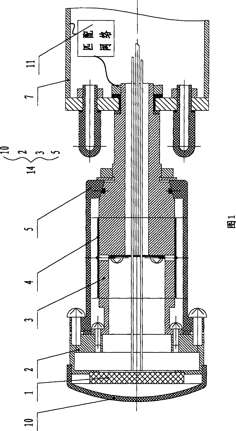 Three-in-one buoy antenna