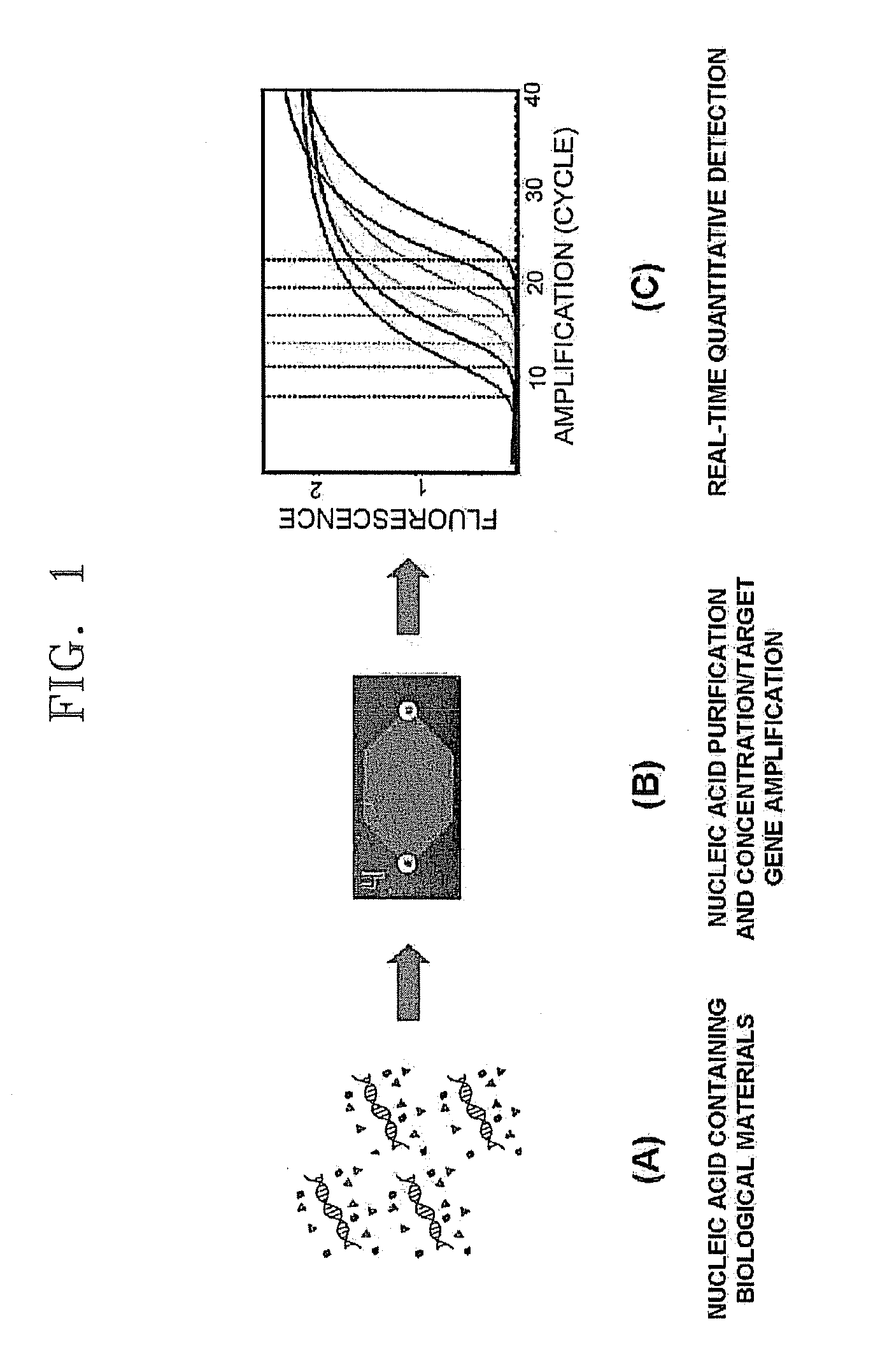 Method and apparatus for concentrating and amplifying nucleic acid in single micro chamber