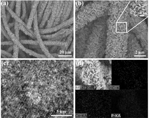 Synthetic method of sheet-shape Co2P-carbon cloth composite material