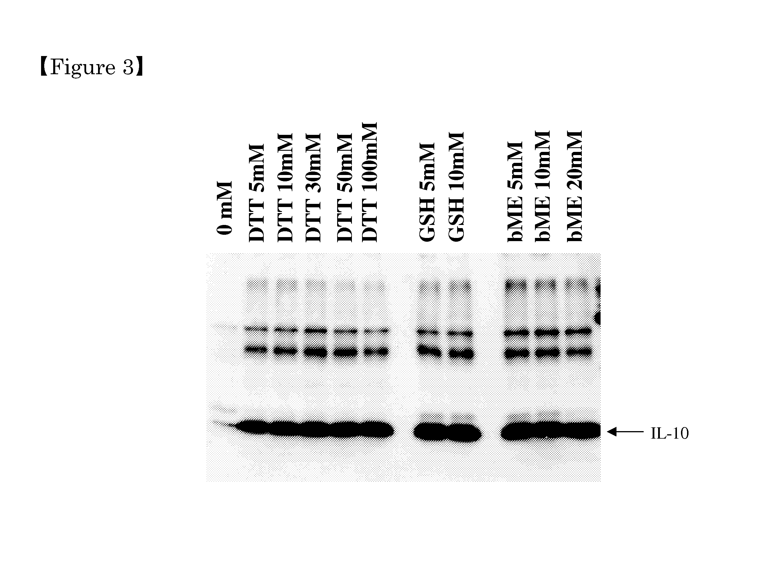 Method for extraction and purification of recombinant proteins from transgenic plants