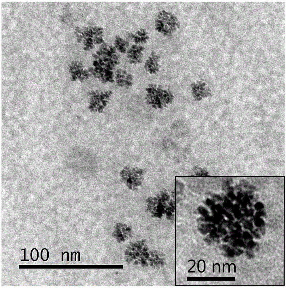 Water soluble biocompatible fluorescent magnetic nanoclusters and preparation method thereof