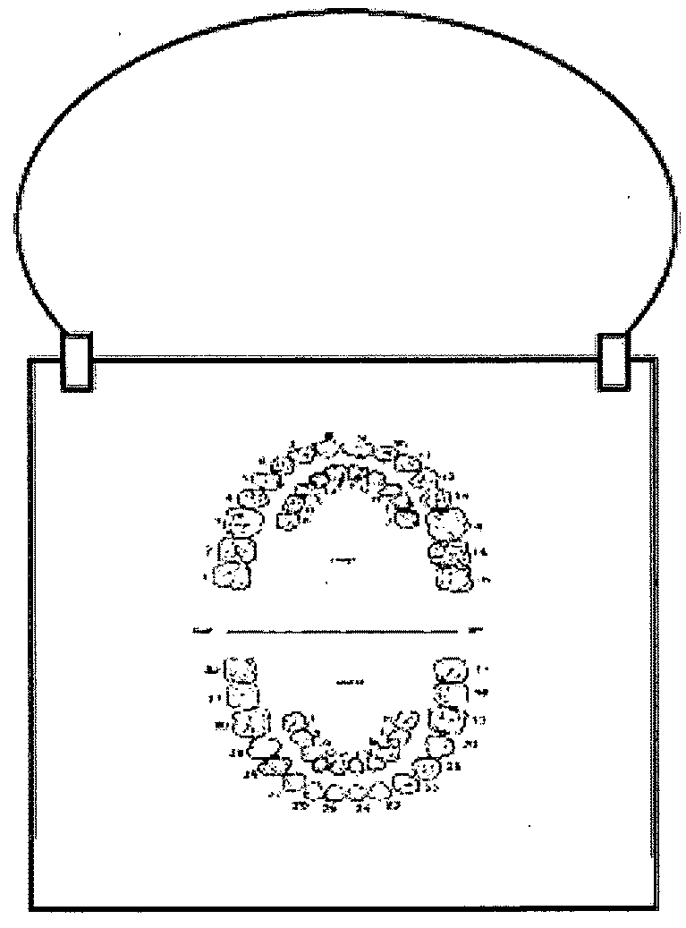 Hanoch dental bib