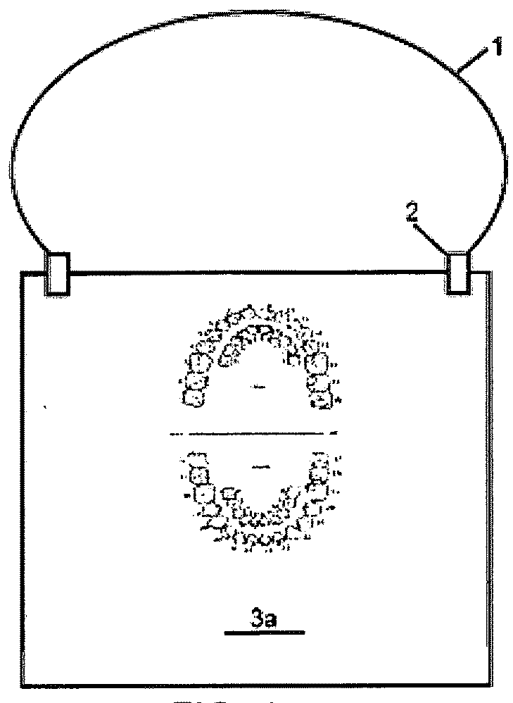 Hanoch dental bib